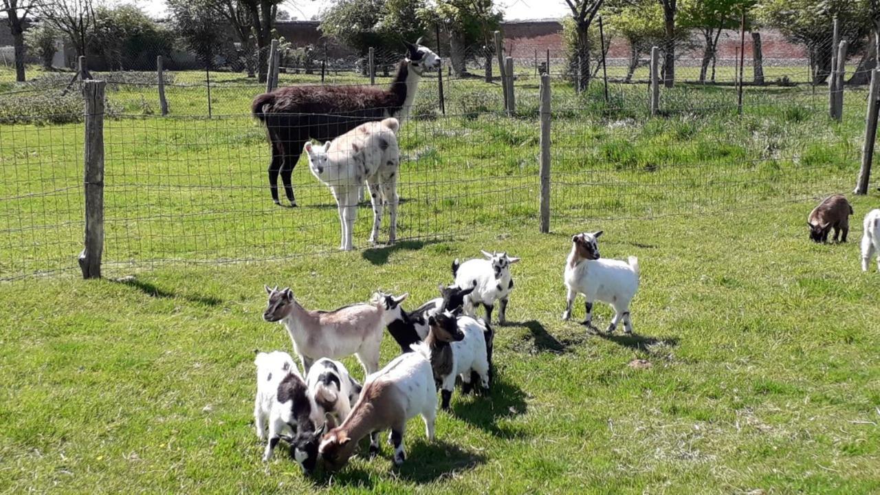 Ferme de Pimont Bed and Breakfast Yerville  Exterior foto